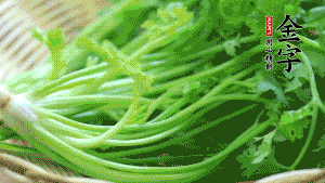挑選鮮嫩的香菜，洗干凈后，處理成小段。
